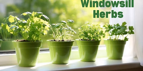 Loughborough Windowsill Herbs Workshop delivered by TCV