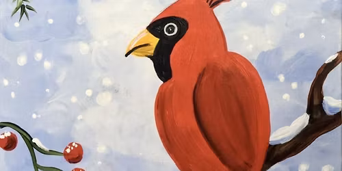 Snowy Cardinal