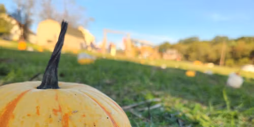 Maple Valley Acres Community Fall Festival