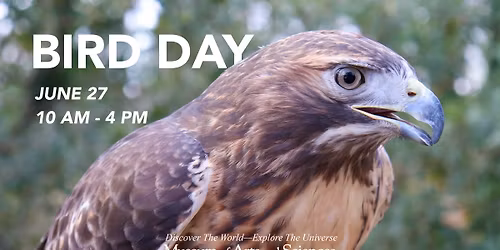 Bird Day