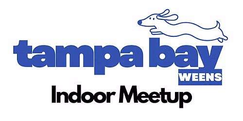 Indoor Dachshund Meetup!