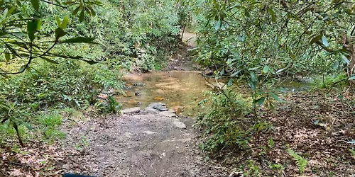 PMBL Monthly Shop MTB Destination Ride - Pisgah