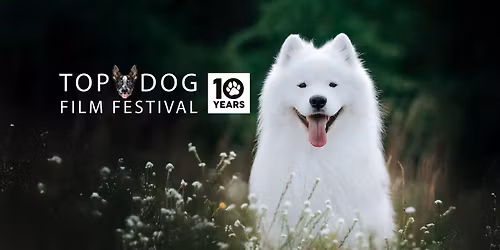 Top Dog Film Festival 2026 - Brisbane Sat 8 Aug 2pm