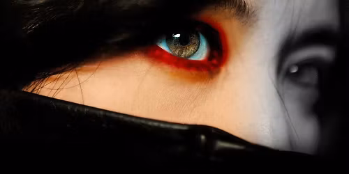 SYMPATHY FOR LADY VENGEANCE