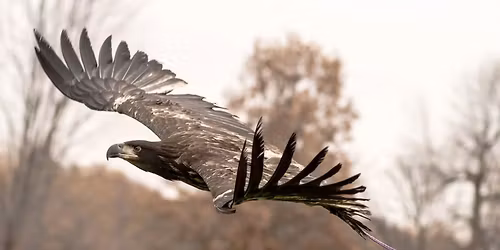 Featured Artist: Photojournalist Tom Baker