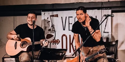 PETER HUDNIK & MATIC AJDI\u010c "GRUNGE SHOW" - Harat's Pub Ljubljana