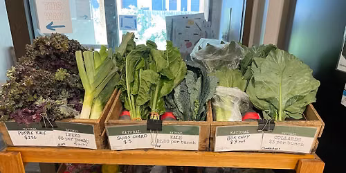 Urban Farm Day