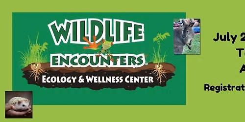 Animal Visitors: Wildlife Encounters!