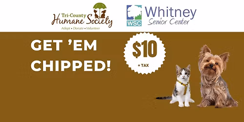 Low-Cost Microchipping Event at Whitney Senior Center