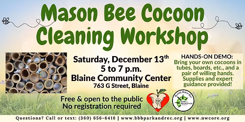 Mason Bee Cocoon Cleaning Workshop