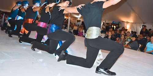 Mid-Cities Greek Food Festival \ud83c\uddec\ud83c\uddf7\ud83c\udf2f\ud83c\udfb6\ud83e\udd20\ud83c\udf3f