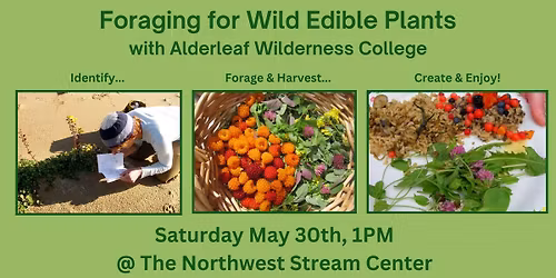 Introduction Foraging for Wild Edible Plants