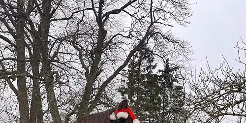 Ling\u00e5rdens Julavslutning och julmarknad