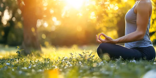 Wild Harmony: Root ~ Flow ~ Rest