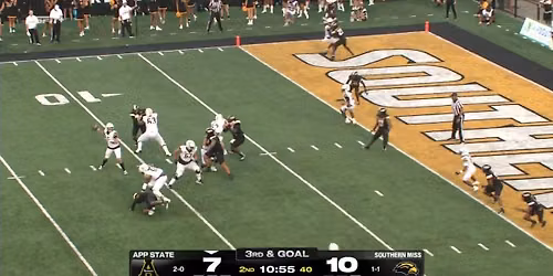 Georgia Southern Eagles vs. Southern Miss Golden Eagles