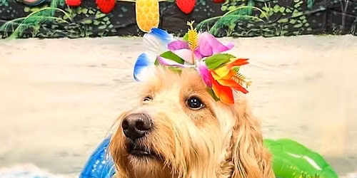 Fun In The Sun Photoshoot!