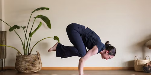 WORKSHOP - CROW POSE