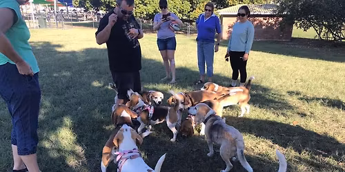 Christmas Party NEW DATE!