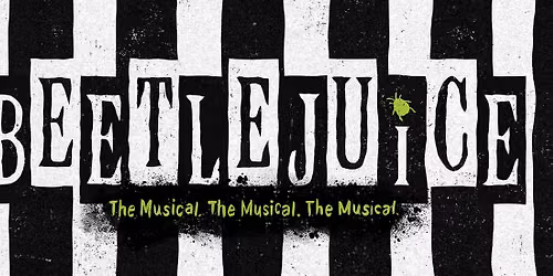 Beetlejuice at Walt Disney Theater at Dr Phillips Center