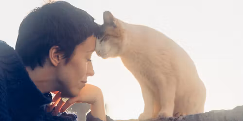 Natalia Przybysz, Kathia, Grzegorz Turnau, Bass Astral, Igo, Kacperczyk, Cinnamon Gum, \u0141\u0105ki \u0141an, Kasia Sienkiewicz, Paktofonika, Ka\u015bka Sochacka in Kazimierz Dolny