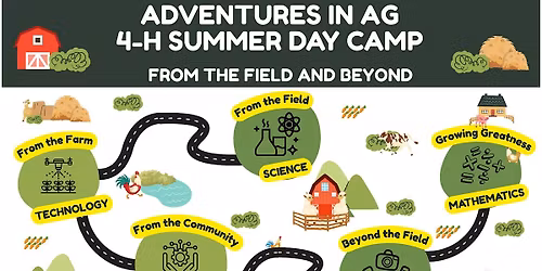 4-H Summer Day Camp - From the Field and Beyond STEAM