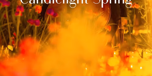 Candlelight: Tribute to Whitney Houston on Strings