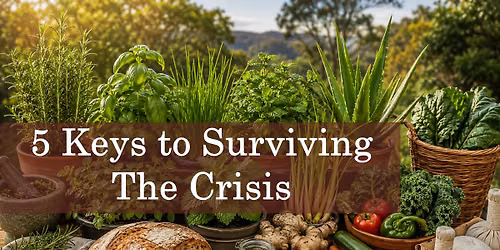 5 Keys to Surviving the Crisis