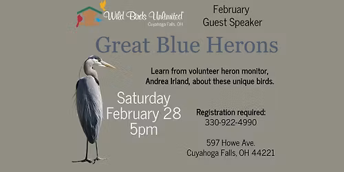 Education Program- Great Blue Herons