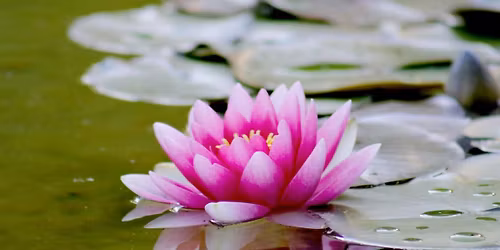 Yoga Nidra guided group meditation - Wednesday 5:30pm