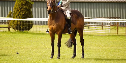 Norton District Riding Club Show with ,STARS,  RoR ,EQUIFEST ,ESUK QUALIFIERS 