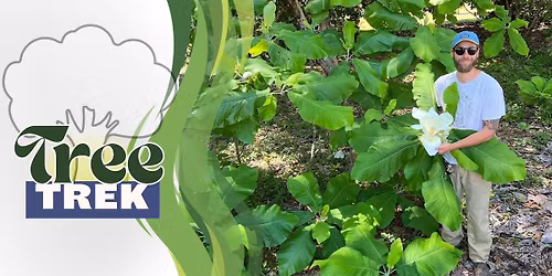 Tree Trek