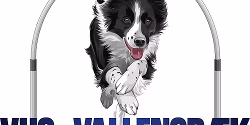 VHS Hoopers st\u00e6vne - marts 2026