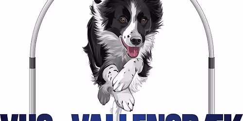 VHS Hoopers st\u00e6vne - marts 2026