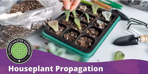 Houseplant Propagation: A Growing Community Program with DeWitt and Piatt Master Gardeners
