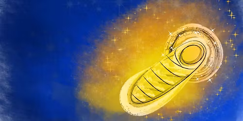 Christmas Day Worship