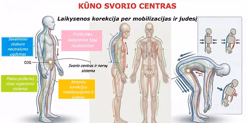 K\u016bno svorio centras. Laikysenos korekcija per mobilizacijas ir judes\u012f