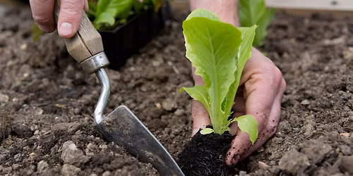 Ultimate Beginner Garden Workshop with Farmer Jeff 9.19