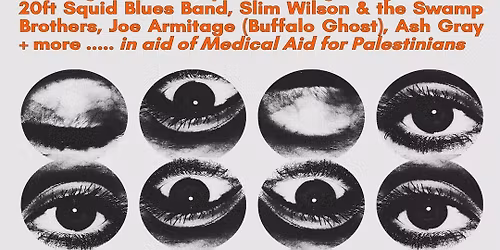 Love Music Hate Racism presents BLUES FOR PALESTINE 2 at Sidney and Matilda, Sheffield 