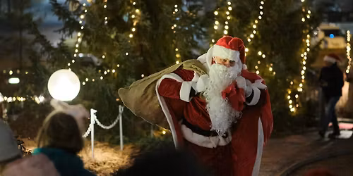 Julegrantenning p\u00e5 Skullerud \ud83c\udf84