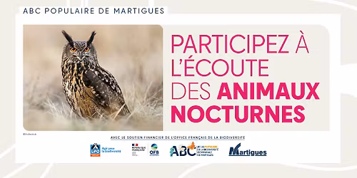[ABC POPULAIRE] ECOUTE DES ANIMAUX NOCTURNES 