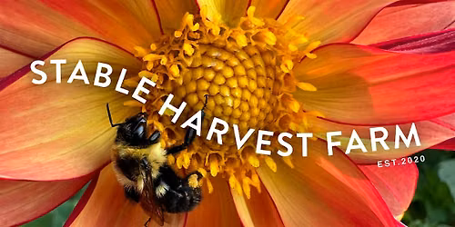 [FREE] Mini Bee Camp: Buzz & Learn ( Ages 8-12)