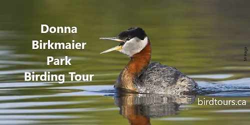 Donna Birkmaier Park Birding Tour