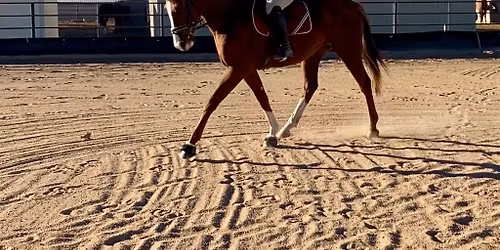 Vicki Baker Clinic -Thursday November 20th 