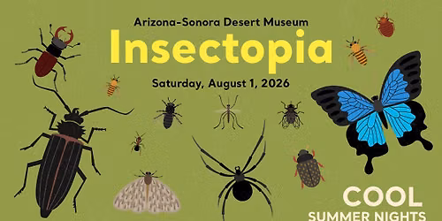 Insectopia (Cool Summer Nights) 