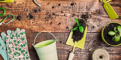 Seed to Supper - Penn State Extension Master Gardeners