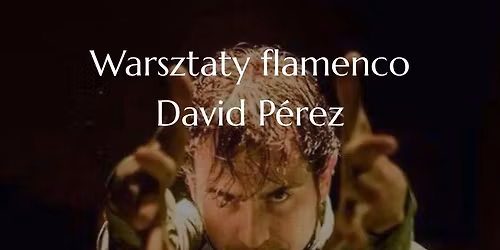 David P\u00e9rez, warsztaty flamenco