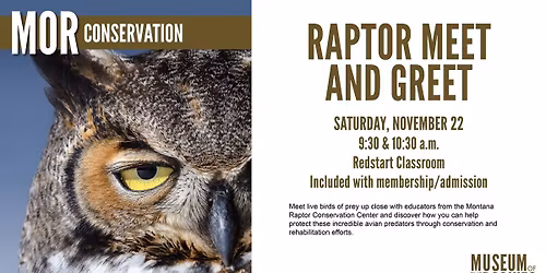 Raptor Meet and Greet
