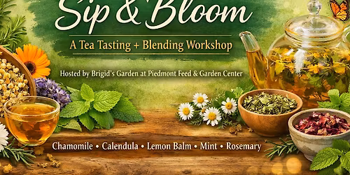 Sip & Bloom: A Tea Tasting + Blending Workshop at Piedmont Feed & Garden