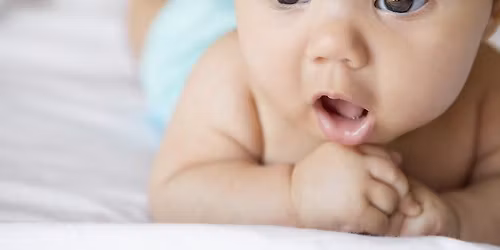 Baby Basics