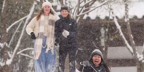 The Snowy Day